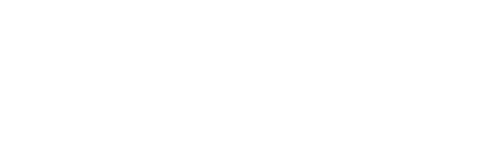 Franchise Fractionals Logo